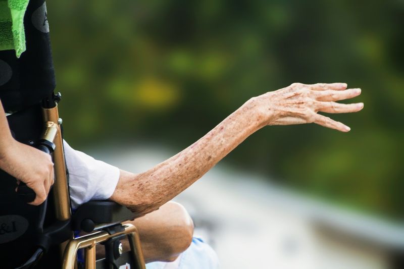 Idosos portadores da doença de Alzheimer: e-book fala sobre assunto