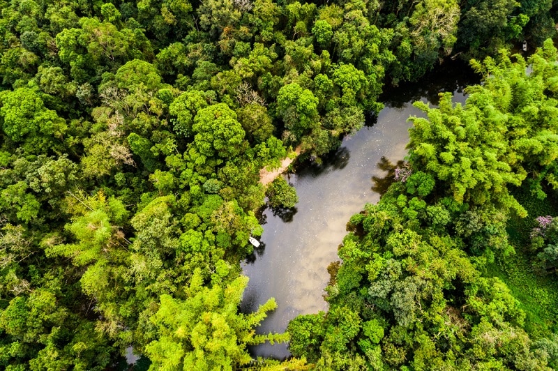 fundo-jpa-amazonia-legal